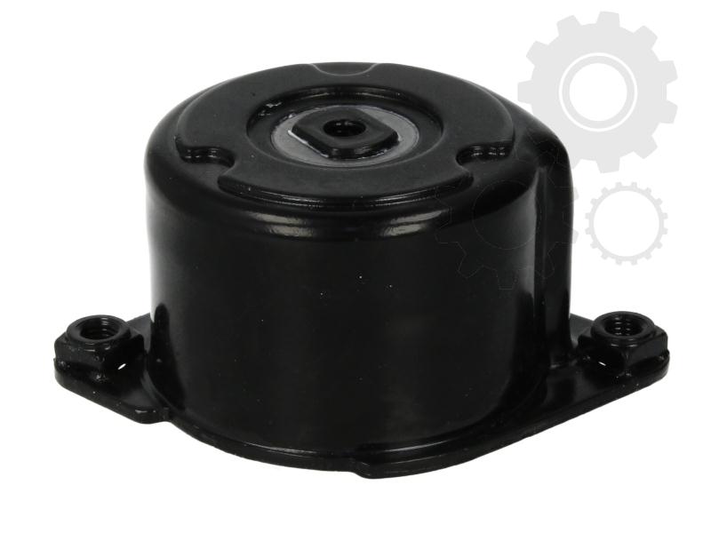 Intinzator curea motor 3,0 D BMW