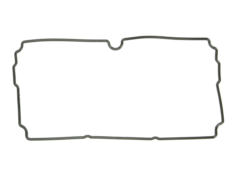 Garnitura capac lateral motor Scania 12,7D HPI (poz.18)