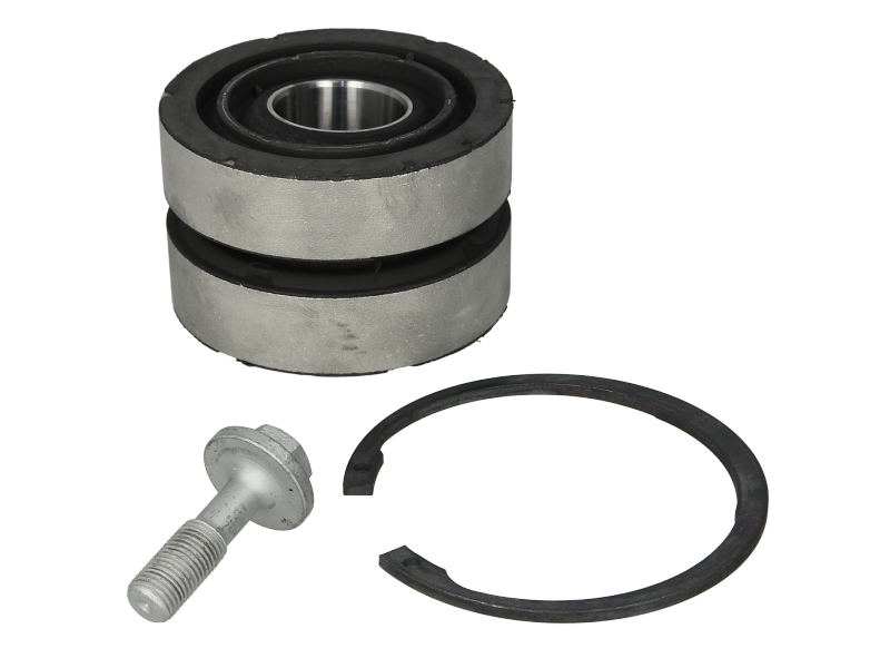 Kit reparatie vipera axa spate Daf XF 106