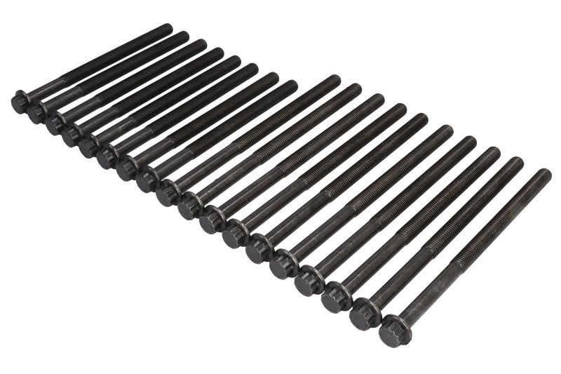 Preazoane chiuloasa motor Mercedes 5,2 TD Euro 6