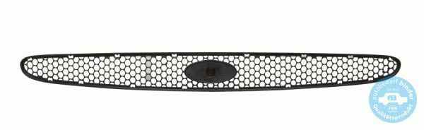 Grila radiator fata Ford Ka