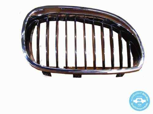 Grila radiator E 63