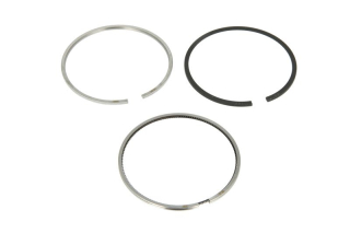 Segmenti piston STD motor 3.0 TDI (poz.3)