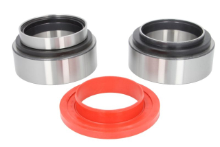 Kit rulmenti butuc punte spate  Daf XF,CF (disc frana)