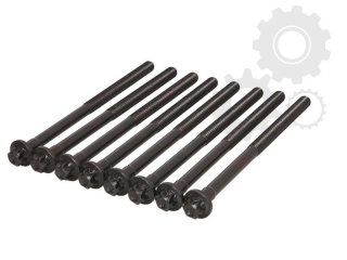 Set prezoane chiuloasa motor 3,0 CDI Mercedes (8 bucati)